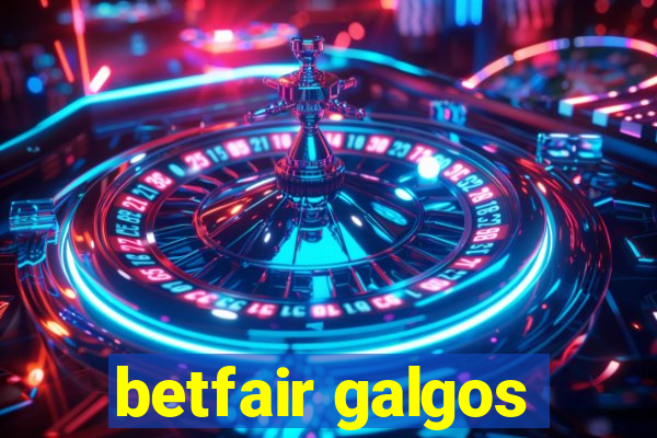 betfair galgos